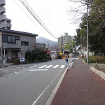 日吉横断歩道