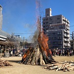 日吉とんどアイキャッチ