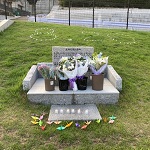 八敷アイキャッチ