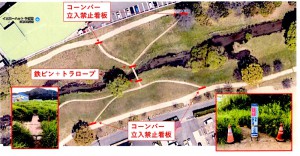 コーンバー
