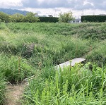 危険アイキャッチ