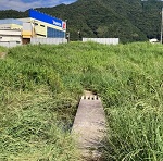 橋アイキャッチ