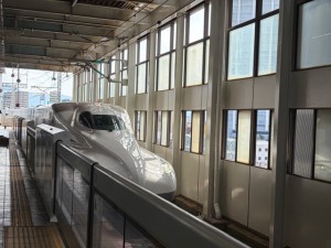 IMG_4325