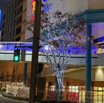 イルミアイキャッチ