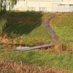 橋アイキャッチ