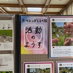 トンボアイキャッチ