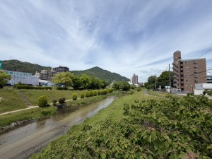IMG_7844