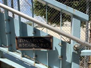 ばいりんだいに