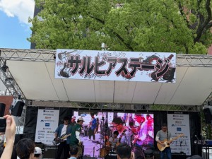 サルビア