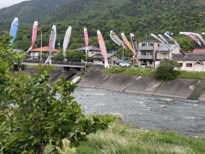 鯉のぼり②