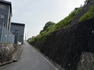 2026年別所