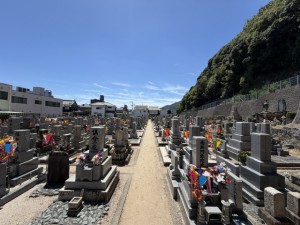 専蔵坊④