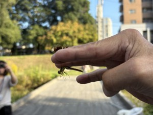 IMG_0274