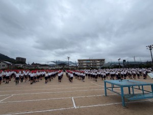 IMG_0337